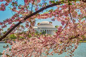 Blue Prints: Washington, D.C. Jefferson Memorial During Springtime