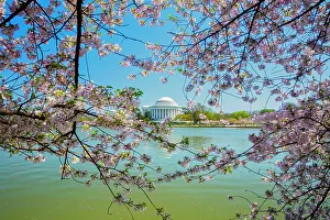 Blue Prints: Washington, D.C. Jefferson Memorial During Springtime