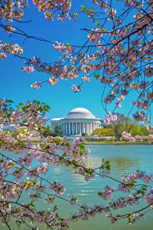 Blue Prints: Washington, D.C. Jefferson Memorial During Springtime