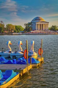 Spring Prints: Washington, D.C. Jefferson Memorial During Springtime