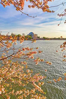 Blue Prints: Washington, D.C. Jefferson Memorial During Springtime