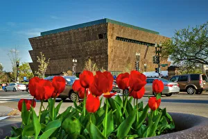 Rm247 Prints: Washington, D.C. National Museum of African American History and Culture