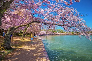 Blue Prints: Washington, D.C. springtime scene by the Potomac river