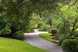 Pathway Prints: Winding garden path