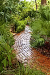 Path Prints: Winding path in garden