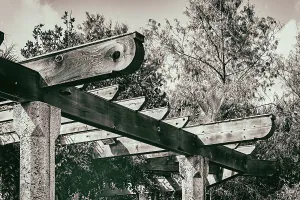 Botanic Prints: Detail of wooden beams on pergola
