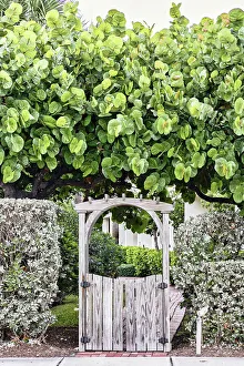Entryway Prints: Wooden entrance surrounded by tree