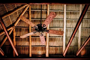 Rm306 Prints: Wooden fan on Straw Ceiling